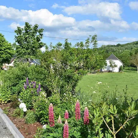 Falkennest Appartement *