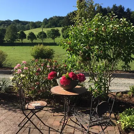 Falkennest Appartement *